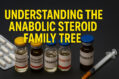 steroid family tree Testosterone Derivatives - DHT Dihydrotestosterone Derivatives - Nandrolone Derivatives 19-Nor
