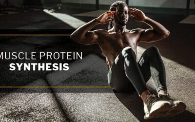 How Consumed Protein Is Distributed and Used for Muscle Protein Synthesis: A Deep Dive for Advanced Bodybuilders