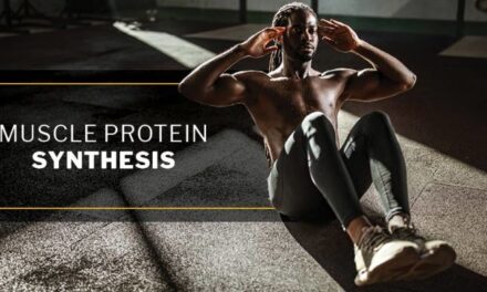 How Consumed Protein Is Distributed and Used for Muscle Protein Synthesis: A Deep Dive for Advanced Bodybuilders