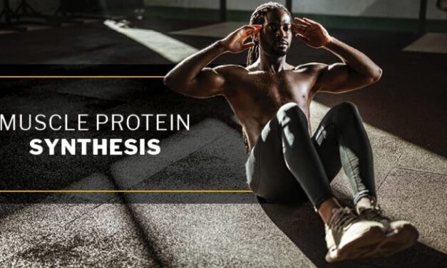 How Consumed Protein Is Distributed and Used for Muscle Protein Synthesis: A Deep Dive for Advanced Bodybuilders