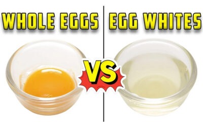 Whole Eggs Vs Egg Whites