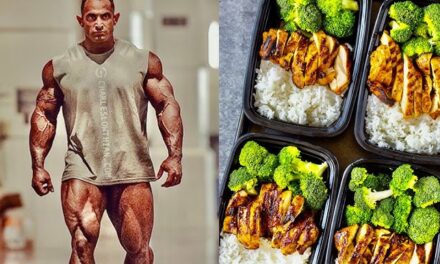 Macronutrient Mastery