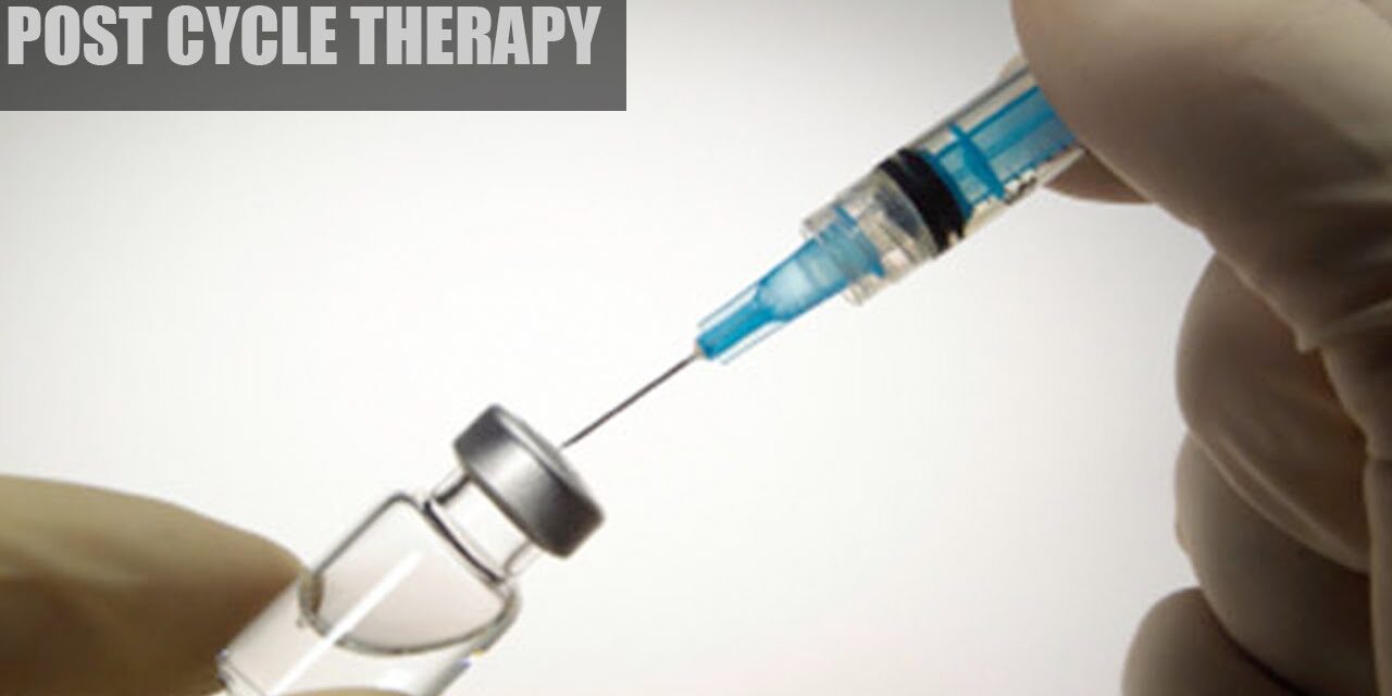 How to Run a Safe PCT After SARMs or Peptides (2025 Protocols)