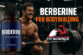 Berberine for Bodybuilding bloodsugar insulin.