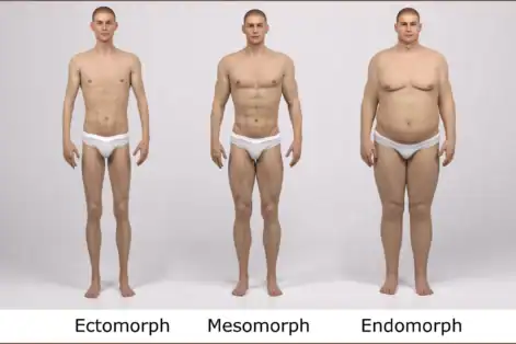 Body Type: Ectomorph, Mesomorph, or Endomorph?