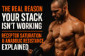Receptor Saturation & Anabolic Resistance Explained