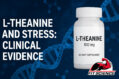 L-theanine for stress & cortisol