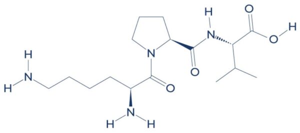 KPV peptide- Hangzhou Go Top Peptide KPV peptide- Hangzhou Go Top Peptide