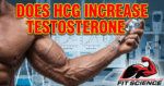 Does HCG Increase Testosterone