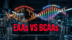 EAAs vs BCAAs