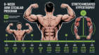 How to Grow Bigger Arms Fast: The 8-Week Arm Specialization Protocol 37 how to get bigger arms fast